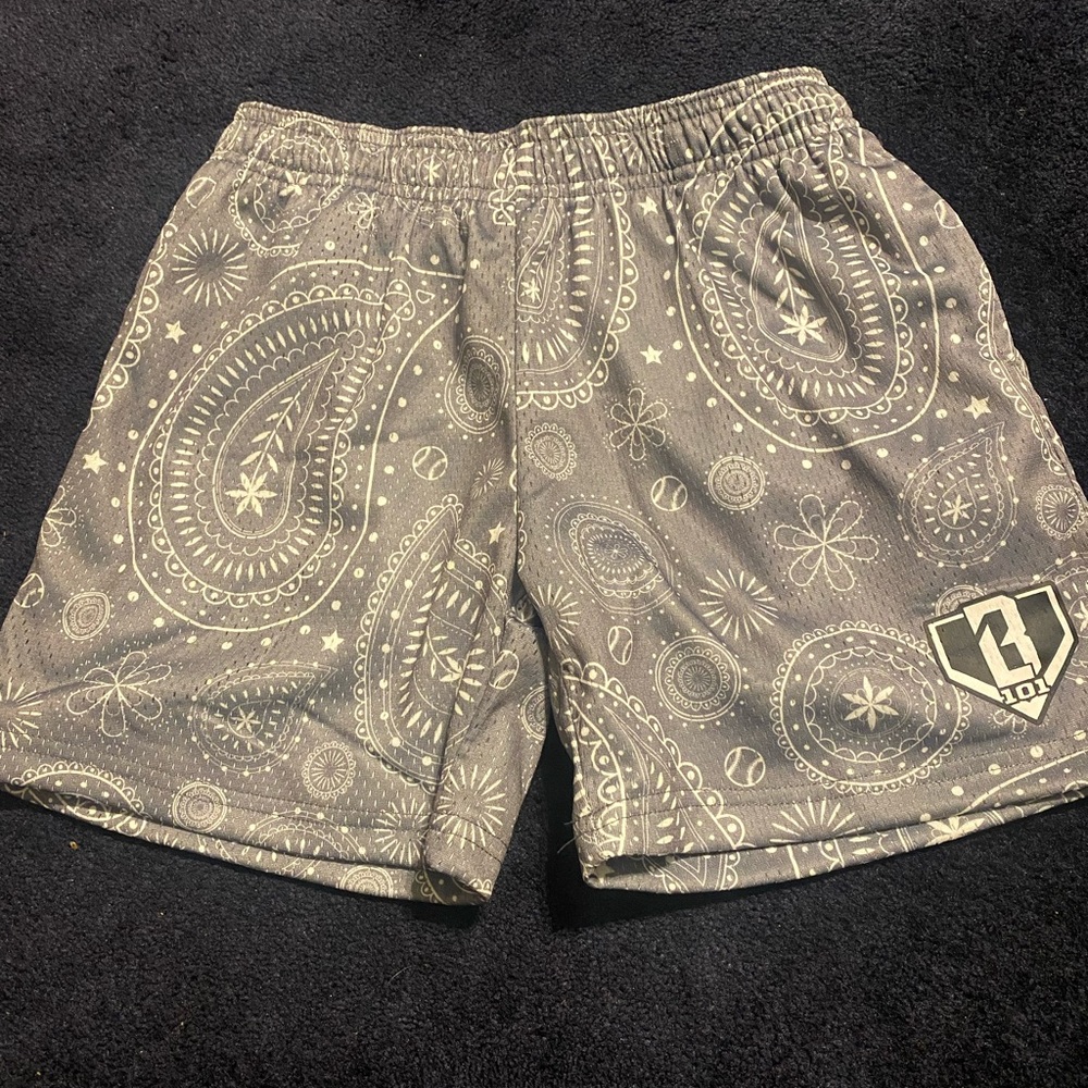 Baseball Lifestyle 101 youth medium shorts